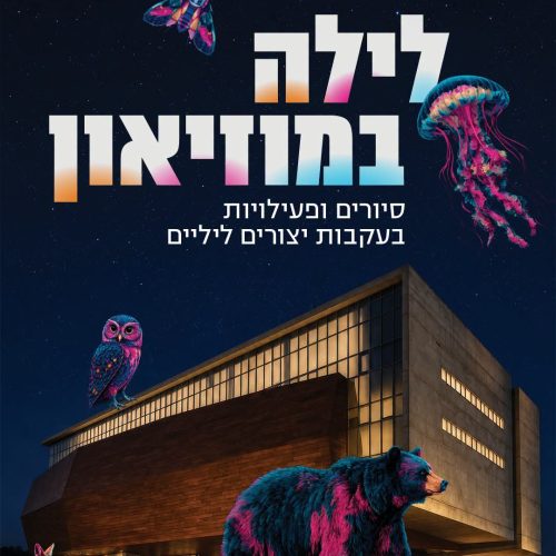 לילה במוזיאון במוזיאון הטבע ע״ש שטיינהרדט