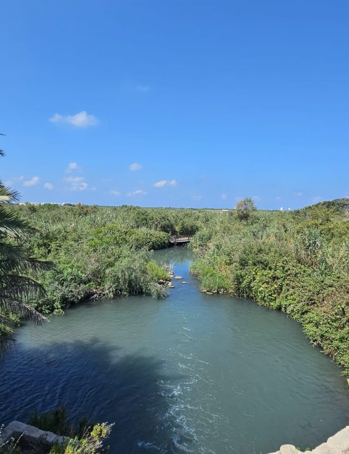נחל תנינים בתוך שמורת הטבע מבט מערבה