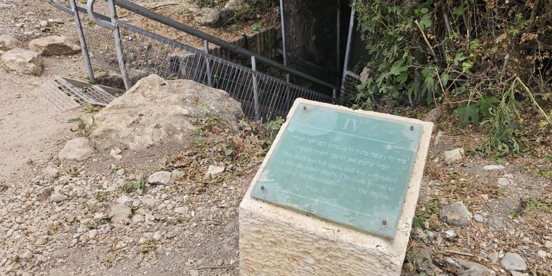 פארק אלונה - מי קדם