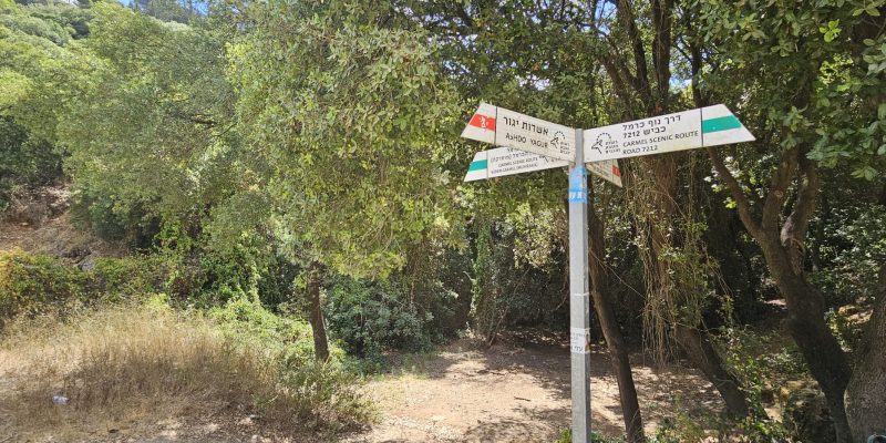 נחל יגור מעפילים