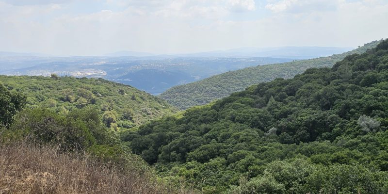 נחל יגור מעפילים