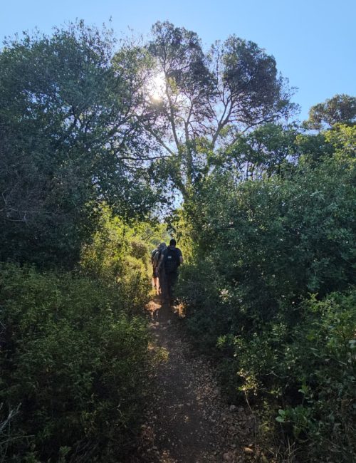 ירידה בנחל גלים