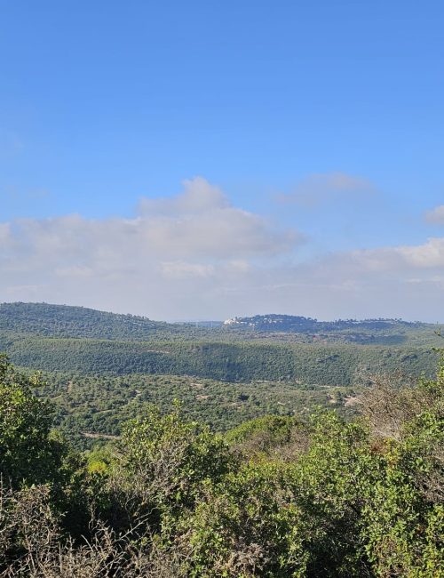 הנוף הנשקף במהלך הירידה בנחל גלים