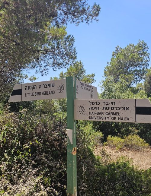המבצר האחרון