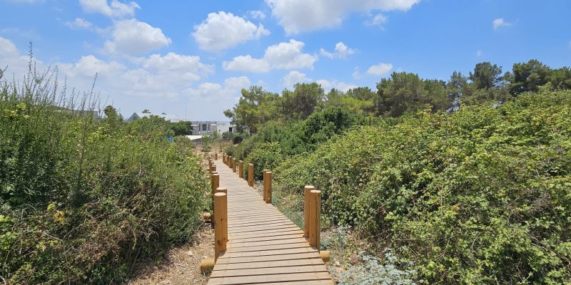 גשר צף בדרך לעין צור