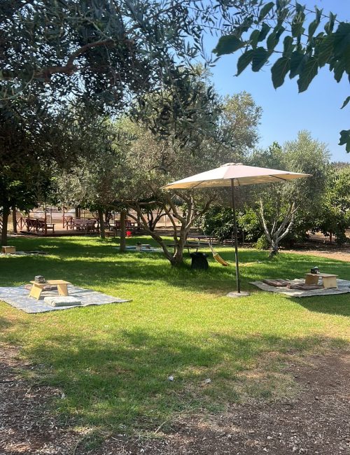 באדיבות: טול קפה ToolCafe: עגלת קפה בגליל המערבי