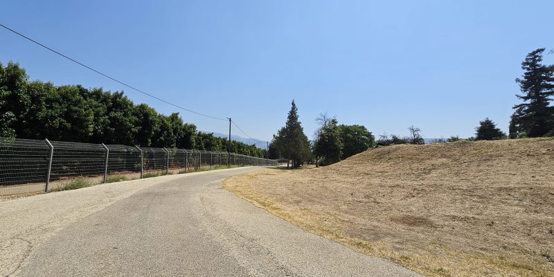 השער שממנו יוצאים אל המחלק בנחל דן
