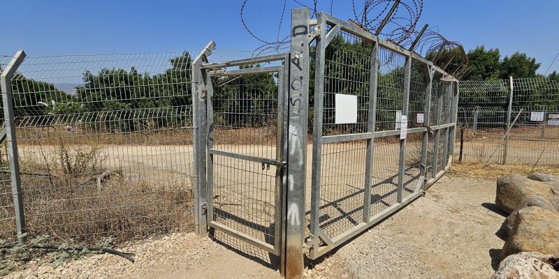 השער שממנו יוצאים אל המחלק בנחל דן