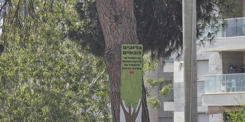 גבעת המשחקים של עדי בצור יצחק