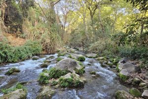 נחל חרמון - המסלול המלא ממעיינות הבניאס ועד שאר ישוב