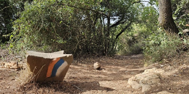 הליכה בשביל ישראל