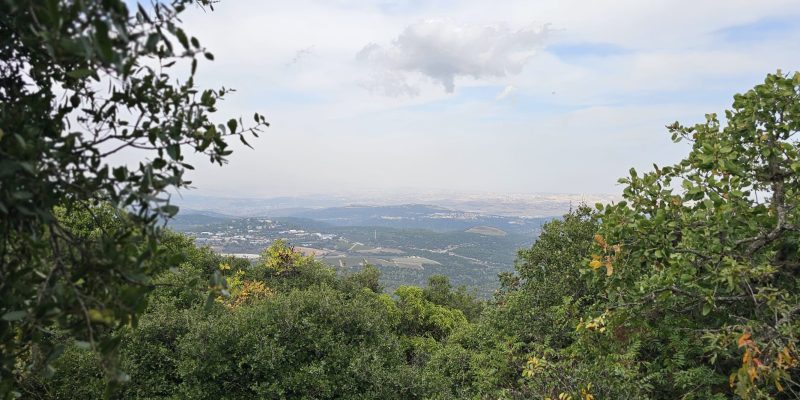 הנוף נפתח לאורך הדרך