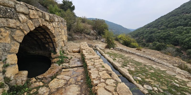 עין חותם