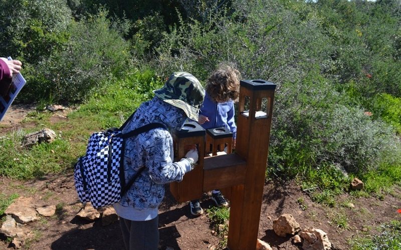 ילדים חוקרים עקבות ברמת הנדיב צילום: מעיין בר יואל