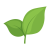 tea-leaves