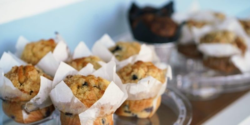 אבאלה צילום אלה טמיר