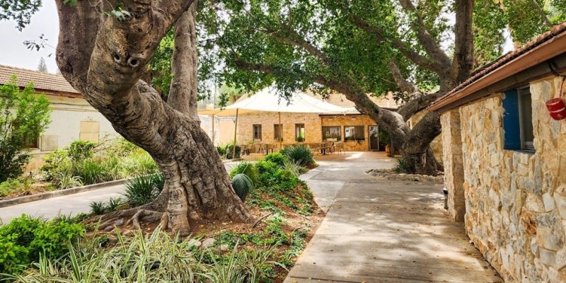 באדיבות איילת השחר אירוח גלילי