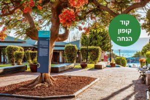 באדיבות כפר הנופש דריה על שפת הכנרת