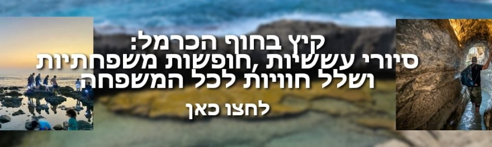 באנר כרמלים