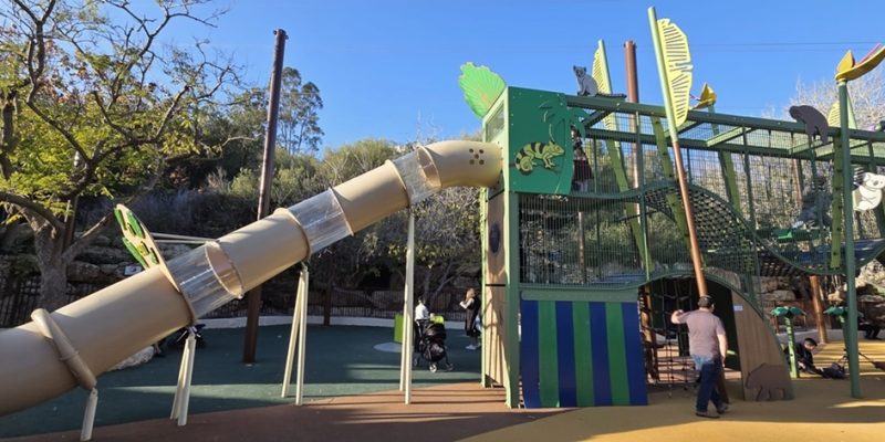 גן ההרפתקאות בגן החיות התנכי צילום חגית אלבג