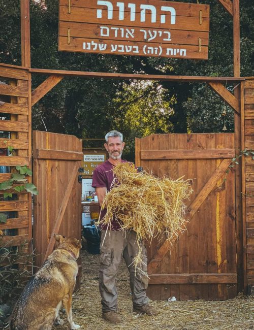 באידובת החווה ביער אודם