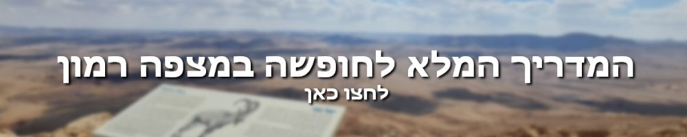 המדריך המלא לחופשה במצפה רמון באנר