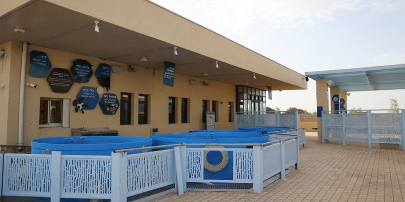 המרכז הארצי להצלת צבי הים קרדיט צילום: שי אייזקס, רשות הטבע והגנים.