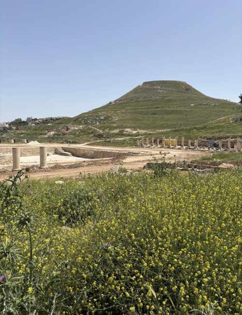 גן לאומי הרודיון. צילום: תיירות גוש עציון