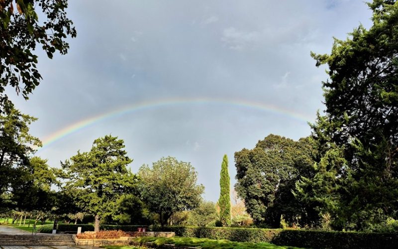 חורף בגנים צילום סוזן רז
