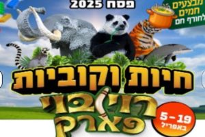 חיות וקוביות רוי בוי פארק באדיבות קופונופש