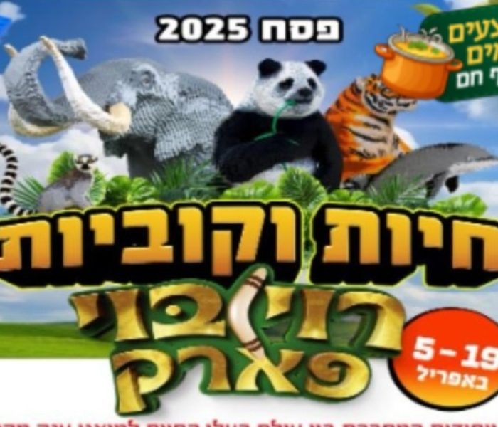 חיות וקוביות רוי בוי פארק באדיבות קופונופש