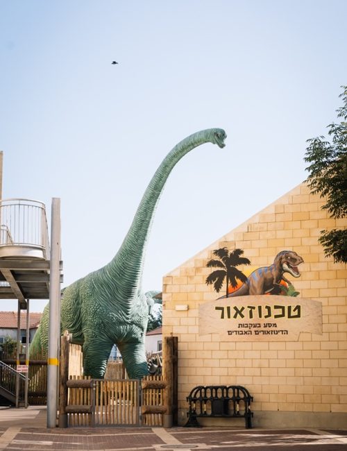 טכנוזאור צילום יסמין ברדה פאר