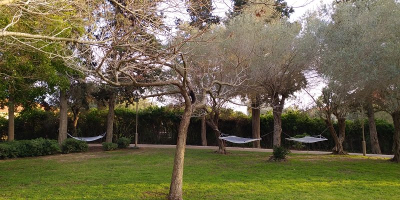 באדיבות מלון עדן אין בזכרון יעקב