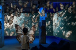 ממלכת החרקים קרדיט צילום הדרן