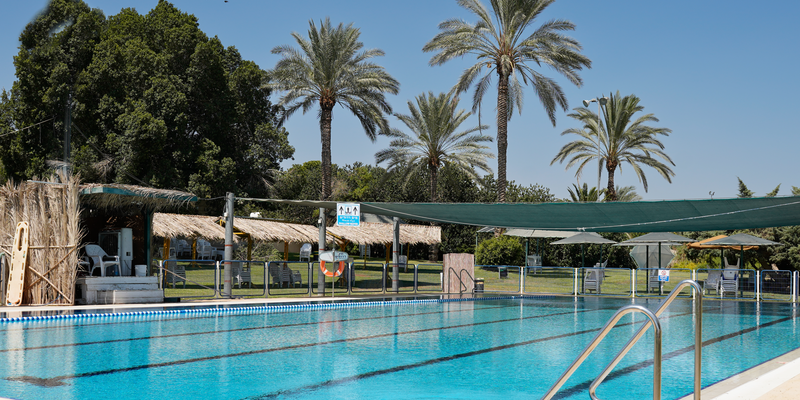 מנתור אלמוג ים המלח צילום באדיבות סלינה