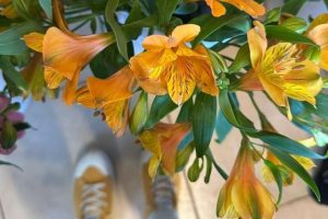 סדנת שזירת פרחים בטכניקת ספירל