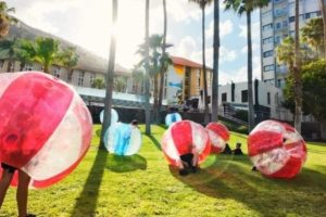 סימבה בכנרת באדיבות קופונופש