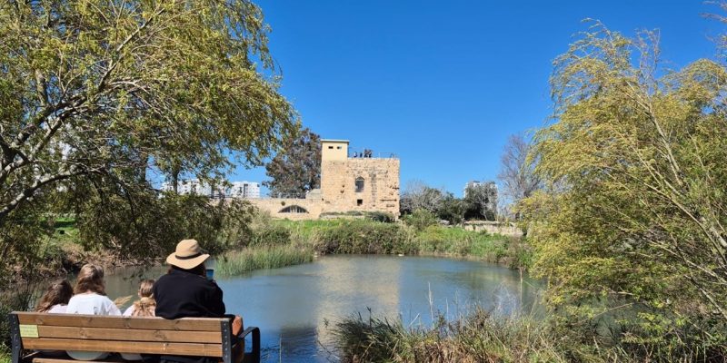 עין אפק צילום שרית פלצ'י מיארה