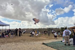 עפיפוניאדה. צילום: תיירות גוש עציון