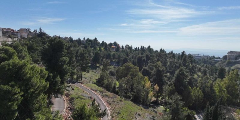 פארק לימונים: הריאה הירוקה של צפת והסביבה