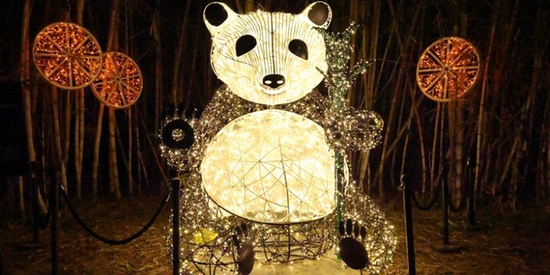 פסטיבל האור הבנלאומי Lumagica בתל אביב צילום Mk-illumination