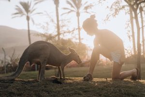 גן גורו צילום אדריאן סבל