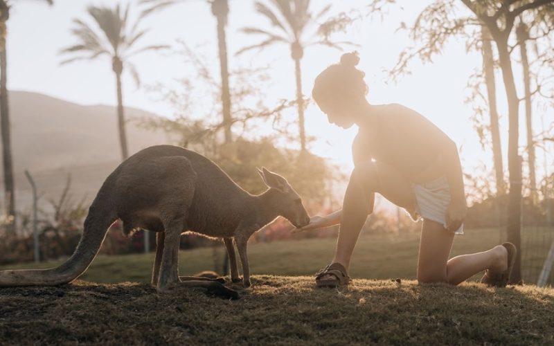 גן גורו צילום אדריאן סבל