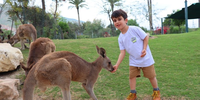 גן גורו צילום אורן גבאי גולן