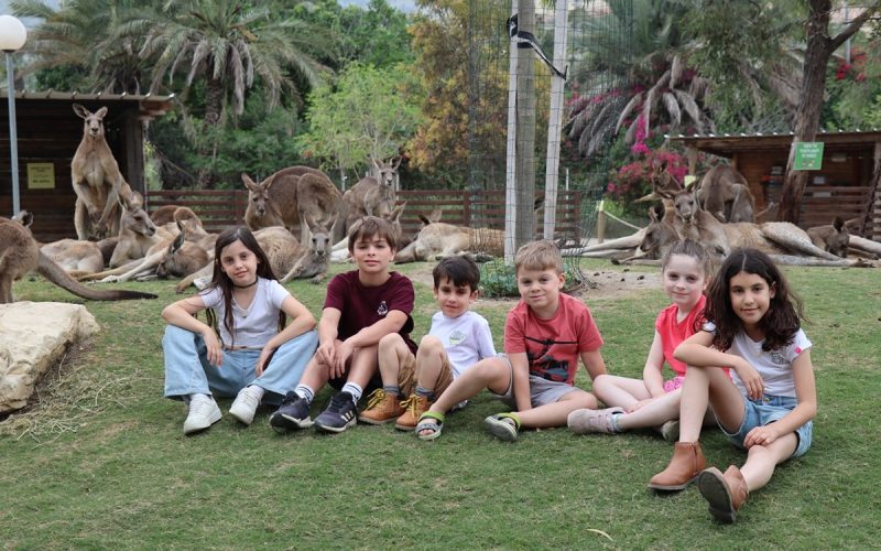 גן גורו