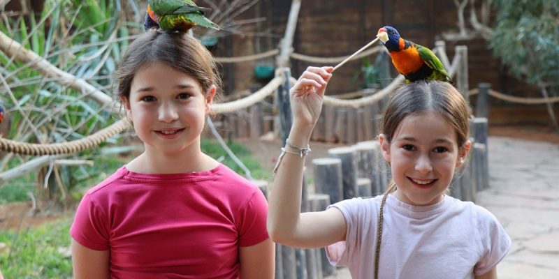 גן גורו צילום אורן גבאי גולן