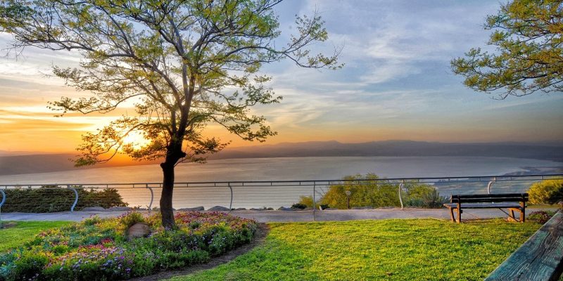 כפר הנופש מצפה השלום צילום יחסי ציבור מצפה השלום