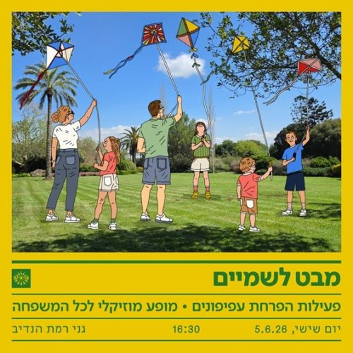 מבט לשמיים