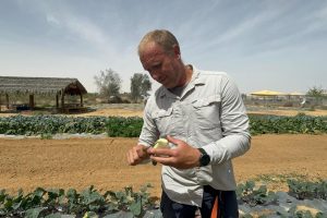 קטיף במשק ניצנה צילום איה דבורין תקשורת