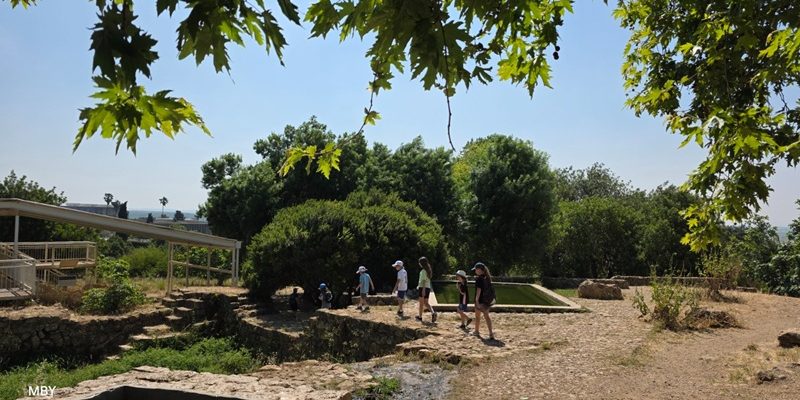 רמת הנדיב קרדיט מעין בר יואל
